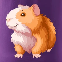 Morče - kreslené, bílo oranžové