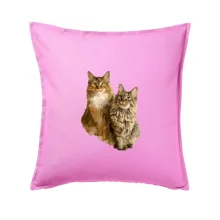 Kočky vectorizované  (Moňas)