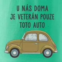 U nás doma je veterán pouze toto auto zelené
