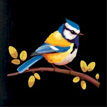 Sýkorka modřinka kreslená