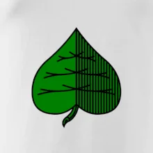 Prší - Zelený - prso