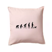 Lagotto romagnolo Evoluce muž / žena