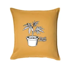 Konopi prostě pěstuju