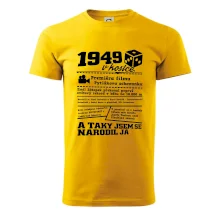 1949 v kostce