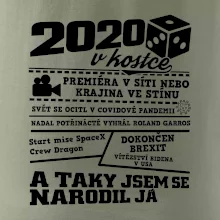 2020 v kostce