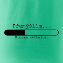 Přemýšlím