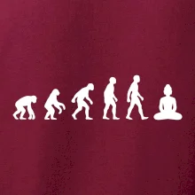 Evoluce budha