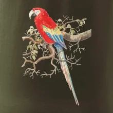 Papoušek na listnatém stromě