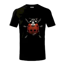 Beruška za shora černá fotka