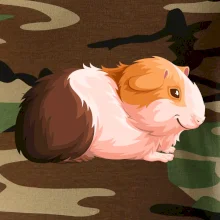 Morče - kreslené z boku