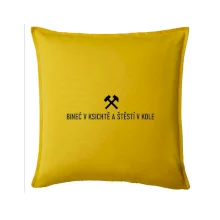 BINEĆ V KSICHTĚ A ŠTĚSTÍ V KOLE﻿