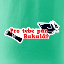 Pro tebe pan Bakalář