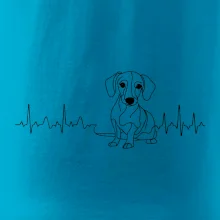 EKG křivka jezevčík