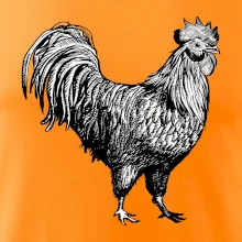 Kohout kreslený černobílý