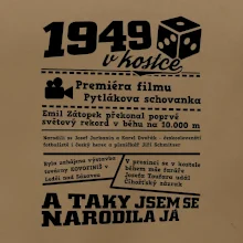 1949 v kostce