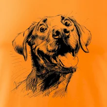 Černobílá karikatura Labrador světlý