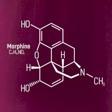 Molekulární struktura Morfin