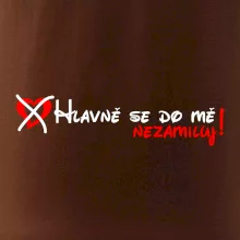 Hlavně se do mě nezamiluj