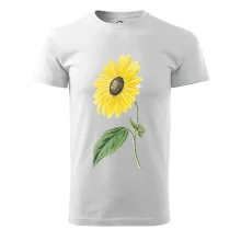 Slunečnice otočená