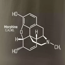 Molekulární struktura Morfin