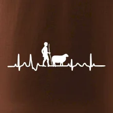 Ekg pastevec ovcí