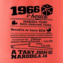 1966 v kostce