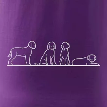 Lagotto romagnolo postavy linka