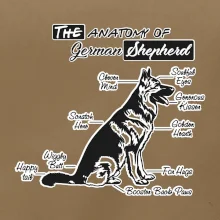 Německý ovčák - Anatomie