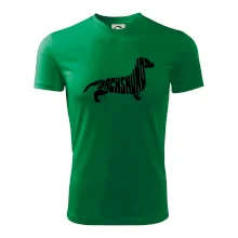 Jezevčík - Dachshund