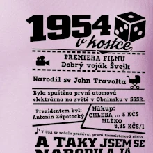 1954 v kostce