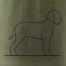 Lagotto romagnolo stojící