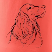 Anglický kokršpaněl černá kresba