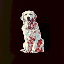 Zlatý retriever vintage