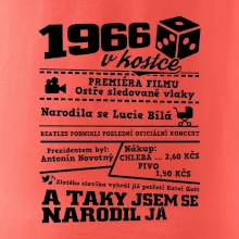 1966 v kostce