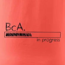 In progress  titul BcA. bakalář / bakalářka umění