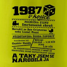 1987 v kostce