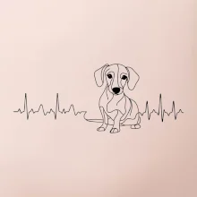 EKG křivka jezevčík