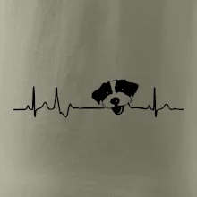 Jack Russell Terriér hrubosrstý Ekg