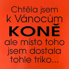 Chtěla jsem k Vánocům koně