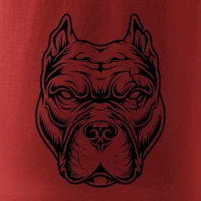 Americký stafordširský teriér hlava