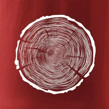 Letokruhy 100 bez věku