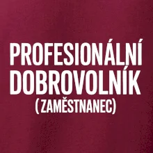 PROFESIONÁLNÍ DOBROVOLNÍK (zaměstnanec)