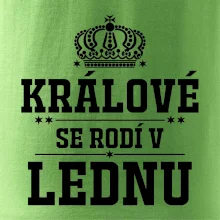Králové se rodí v lednu