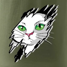 Kočka v roztrženém triku