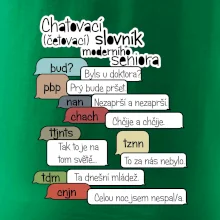 Chatovací slovník moderního seniora (Běžící češtinář)