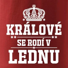 Králové se rodí v lednu