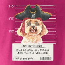 Lump a darebák pudl