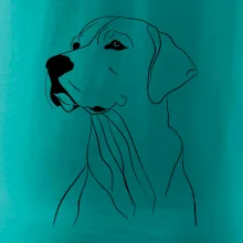 Labrador černá kresba