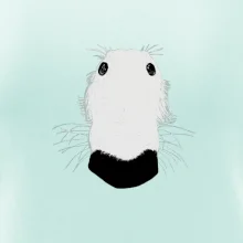 Barzoj čumák (Moňas)