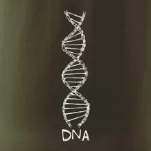 Cyklistovo DNA